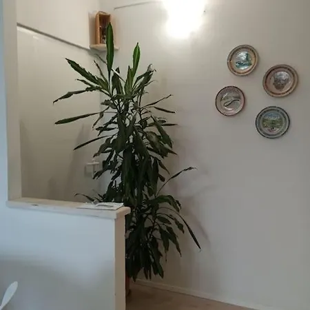 Le Betulle - Parte Di Casa - Mono Attrezzato Borgo Ticino