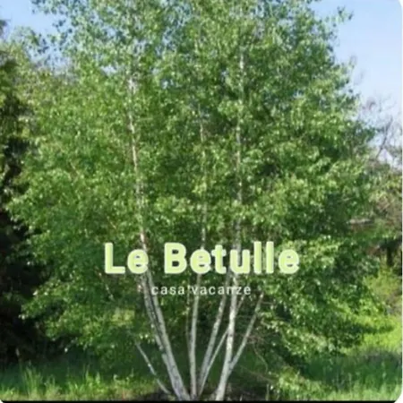 Le Betulle - Parte Di Casa - Mono Attrezzato