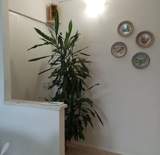 Le Betulle - Parte Di Casa - Mono Attrezzato Borgo Ticino