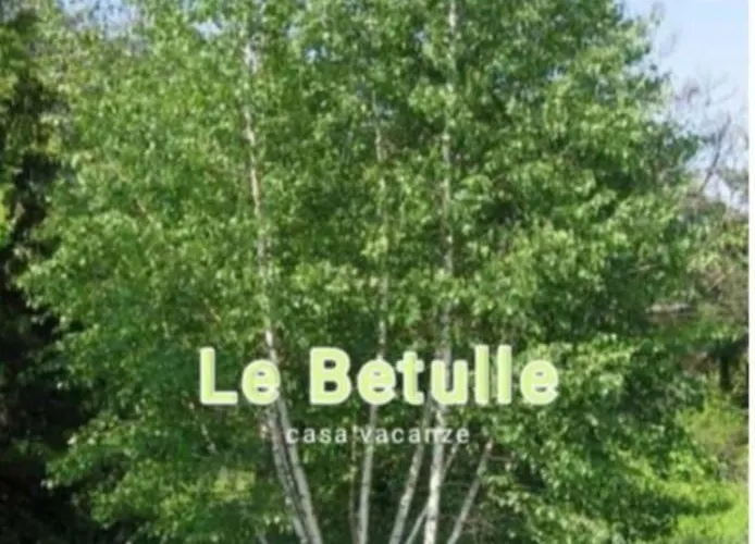 Le Betulle - Parte Di Casa - Mono Attrezzato